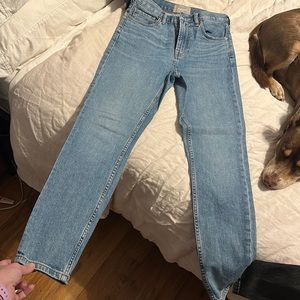 Everlane High-rise Skinny Light Blue Wash 26